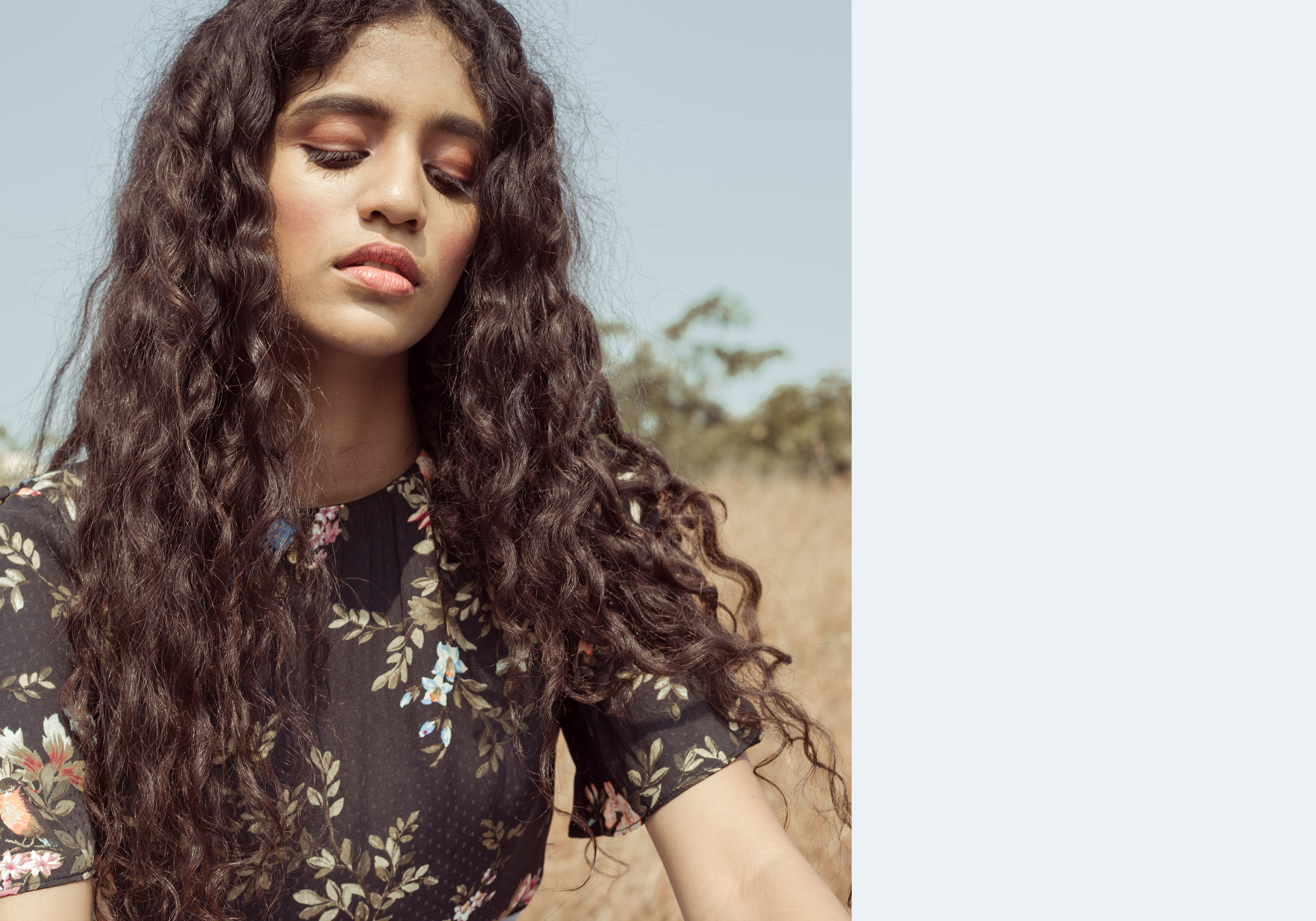 Teesta Dalvi